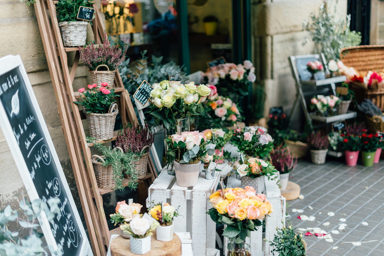 Devanture de la boutique